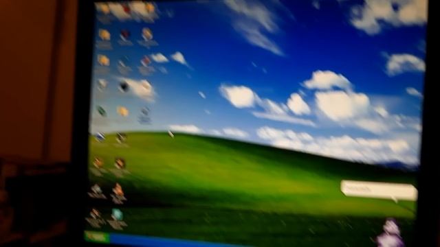 BONZIBUDDY KILLS WINDOWS XP смотреть онлайн