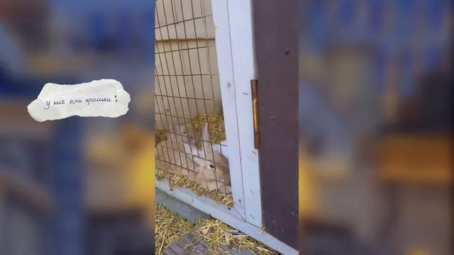 жизнь в 19☀️лето смотреть онлайн