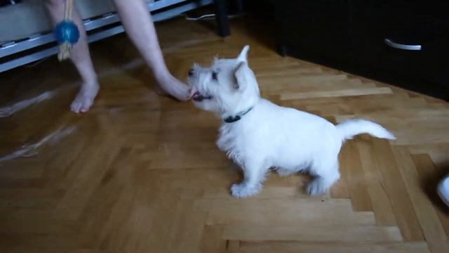 Укатайки ) смотреть онлайн
