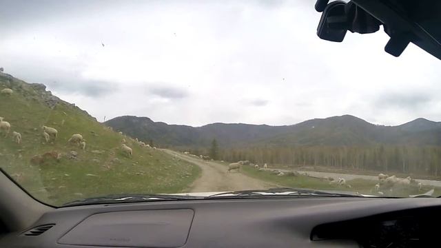 На звуки тюнгура смотреть онлайн