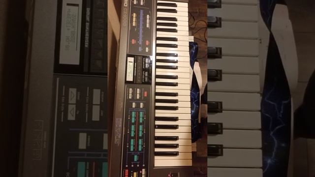 Studio Sunday: Casio CZ-1000 Synthesizer