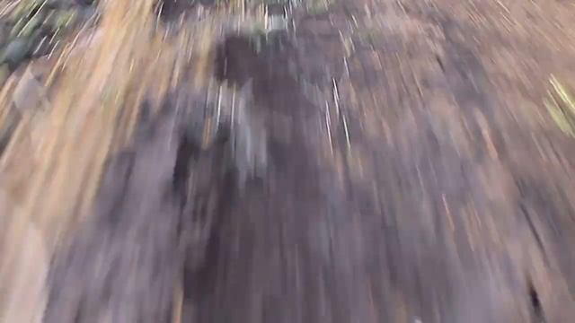 Скорость. смотреть онлайн