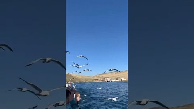 БайкалСибТур туры по Байкалу Малого Моря т. 89025662549 смотреть онлайн