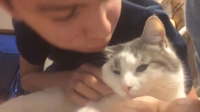Мой второй кот смотреть онлайн