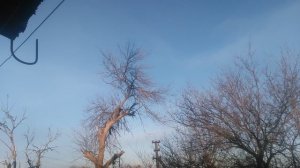 Красивое небо VID_20250131_081717