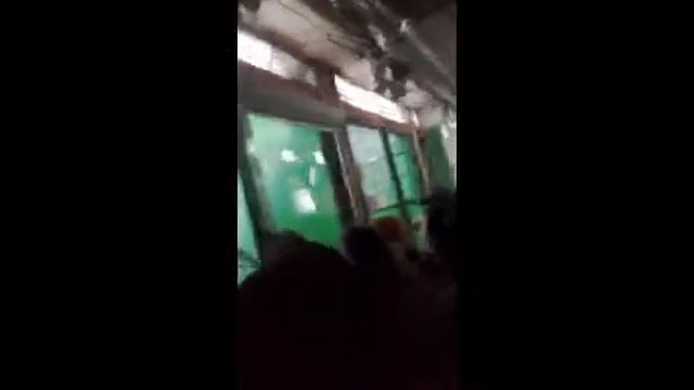 Взбешонная горилла смотреть онлайн