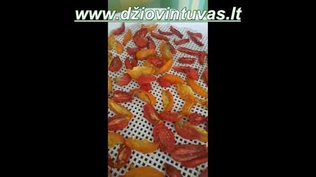 pomidoru dziovinimas 2016 metai смотреть онлайн