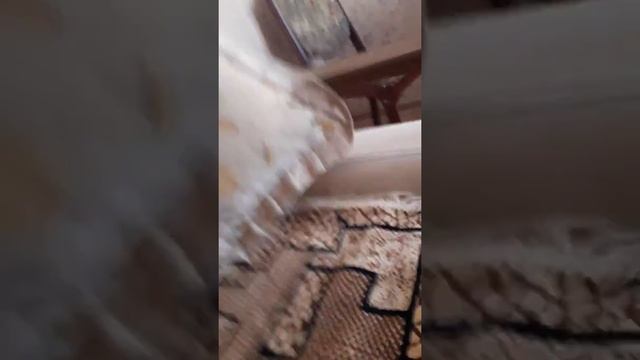 Ура смотреть онлайн