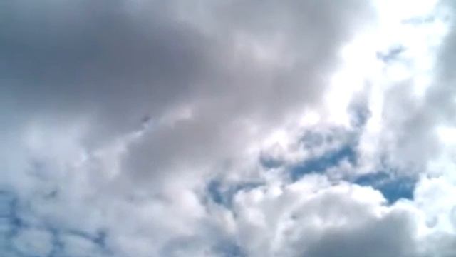 White Tailed Sea Eagle soaring at the Falconry Centre - Thirsk смотреть онлайн