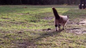 ОДИН ЧАС ЖИЗНИ | ПОРОШИНО| ПРИРОДА