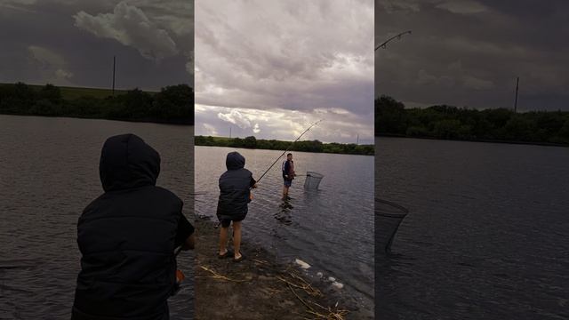 Дети смогли вытащить такую рыбу смотреть онлайн