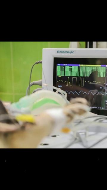 Cara Merawat Kucing yang Sakit#shorts смотреть онлайн