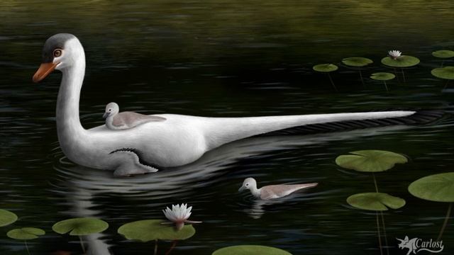 halszkaraptor смотреть онлайн