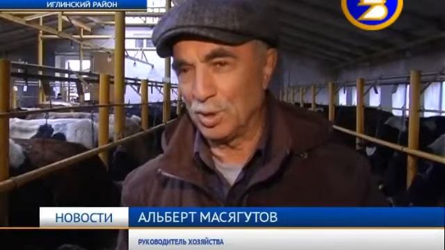 КФХ Масягутова -Участник программы 500 ферм . д. Поступалово Иглинского района смотреть онлайн
