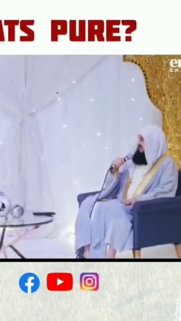 Are Cats Pure? | Mufti Menk#muftimenk #muftimenkreminders #cats #pure #islam #circleofpeace #islam смотреть онлайн