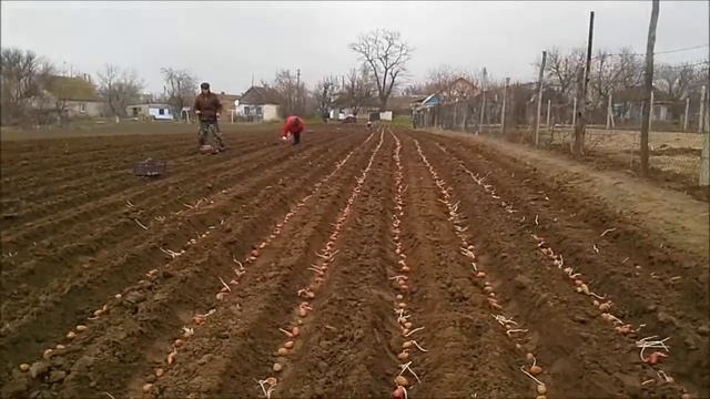 РАБОТА МИНИТРАКТОРА смотреть онлайн