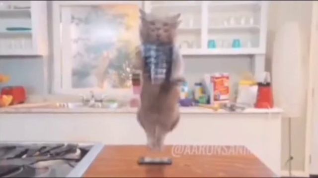 На случай важных переговоров