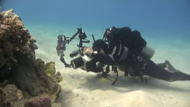 Marsa Alam immersioni