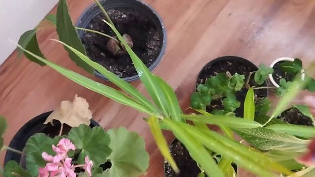 МОЄ УТРО*summer*||productive morning🌞🥱, уход, уборка смотреть онлайн