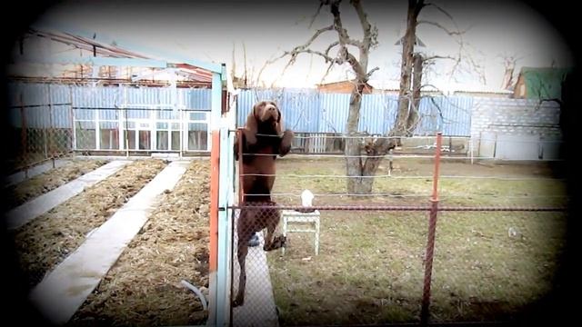 Я не здамся без бою! смотреть онлайн