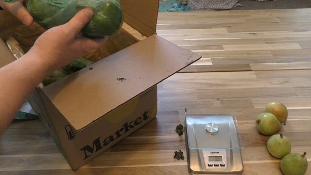 Honest Review MISFITS MARKET Organic Fruits & Veggies Subscription Box | Misfits Market Mischief Bo