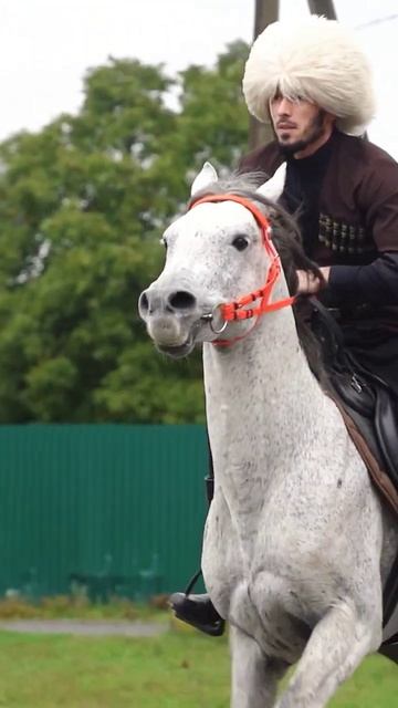 Всадники на ингушской свадьбе смотреть онлайн
