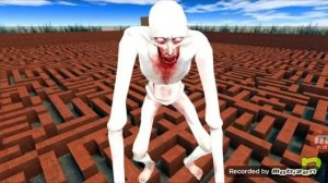 Песня скромник