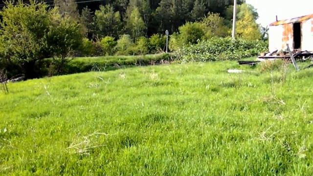 Тера Булгари / парцел за строеж на къща в село Кладница, на пътя за Делта Хил смотреть онлайн