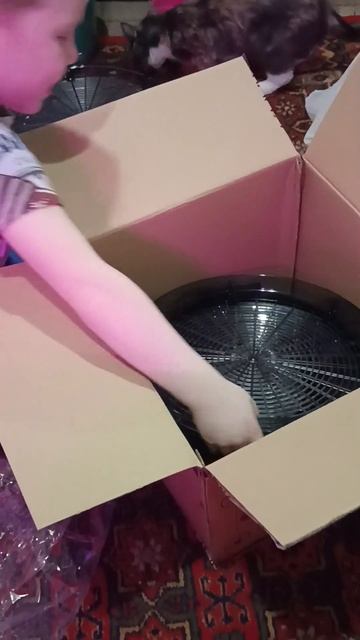 #дегидратор#сушилкадляовощей#shorts#пастила#youtube