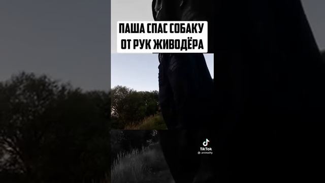 Спас от живодера смотреть онлайн