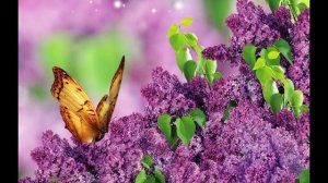 Поль Мориа. Музыка из кинофильма "Был месяц май". Paul Mauriat. #михаилрадищев