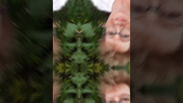 Я женщина...(авт. Алла Сигарёва) смотреть онлайн