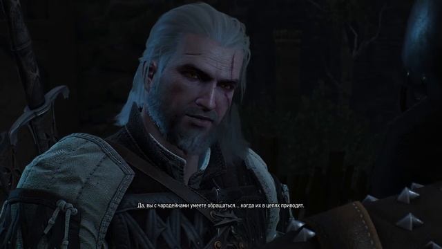 The Witcher 3 , Прохождение без коментариев, Ч.9 смотреть онлайн