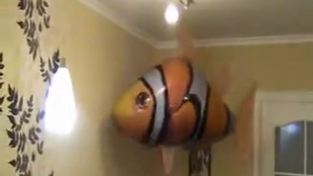 Летающие рыбки смотреть онлайн