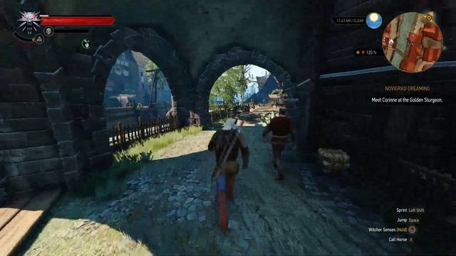 Novigrad Dreaming - The Witcher 3 (Classic) 1440p [Death March]