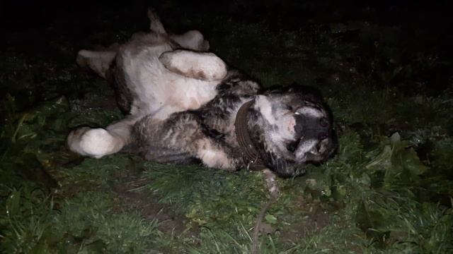 Разговор по душам со Спартаком! смотреть онлайн