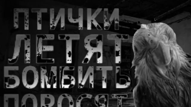 птички летят бомбить поросят (страшный фон) смотреть онлайн