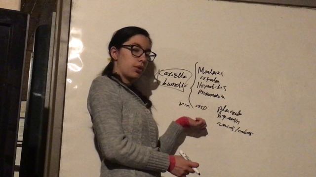 Coxiella Burnetii. Bacterias