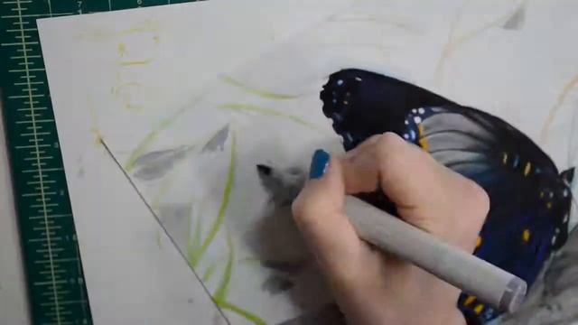 Butterfly Speed Drawing by Brittany's Art Vibes Red Spotted Purple (Limenitis Arthemis) Landing смотреть онлайн