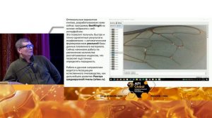 Что нужно для взлета отечественной селекции медоносных пчел? (Сергей Гуров, Апиглобал-2025)