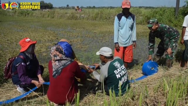 PERCEPATAN POMPANISASI TINGKATKAN KETAHANAN PANGAN KODIM 0828/SAMPANG смотреть онлайн