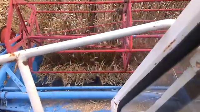 Fortschritt E 512 смотреть онлайн