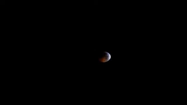 Lunar Eclipse 2010 смотреть онлайн