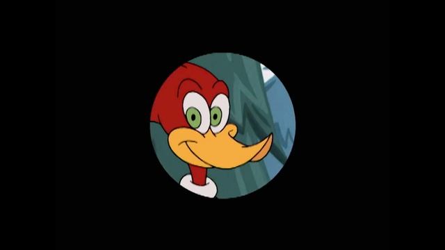 Almoço incrível | Pica-Pau | Desenhos animados para crianças | WildBrain Português смотреть онлайн