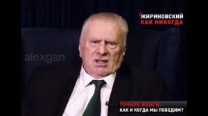 👉 Последнее интервью Жириновского