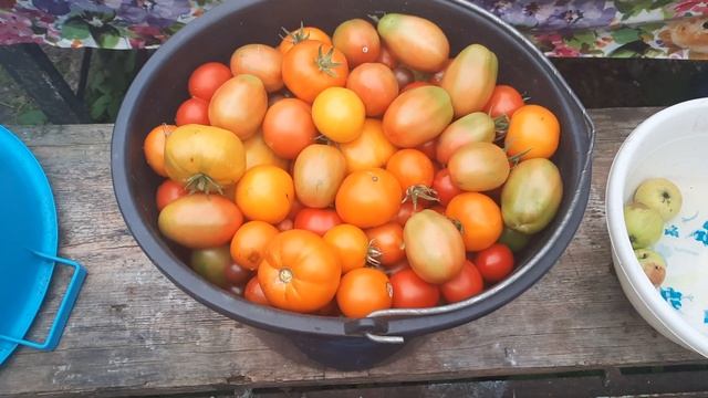 результат моего труда смотреть онлайн