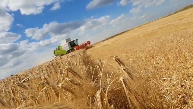 Moisson 2017 : Claas Tucano 540 | New Holland x2 Brimont x2 смотреть онлайн