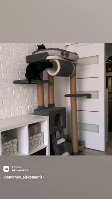 Комплекс для кошек своими руками смотреть онлайн