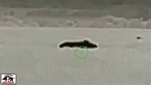 Добыча кабана! смотреть онлайн