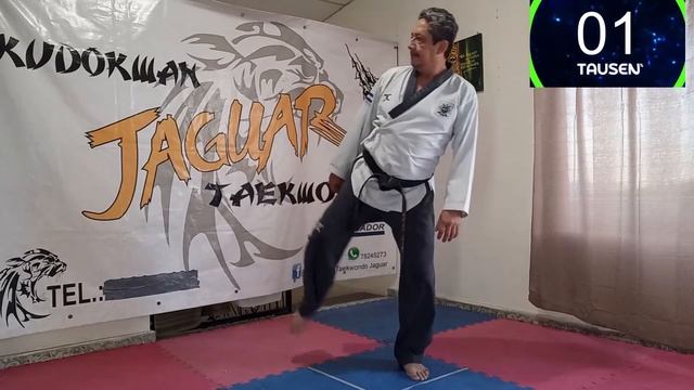 09th Pit chagi - Explicación y Métodos de entrenamiento смотреть онлайн